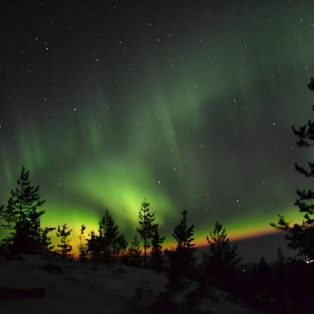 Lagomhuset - A Peaceful Holiday In Swedish Lapland Vidsel Eksteriør bilde