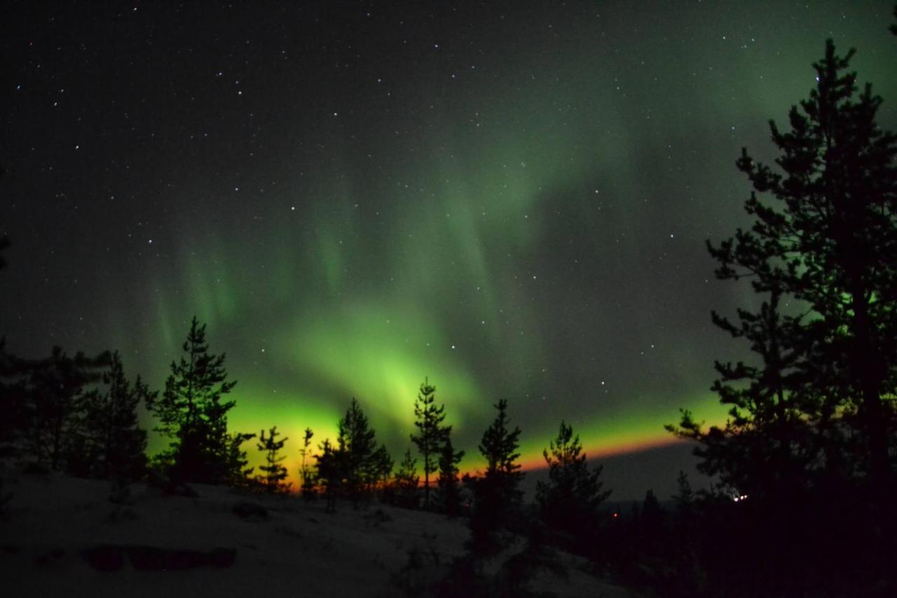 Lagomhuset - A Peaceful Holiday In Swedish Lapland Vidsel Eksteriør bilde