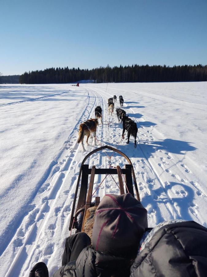 Lagomhuset - A Peaceful Holiday In Swedish Lapland Vidsel Eksteriør bilde